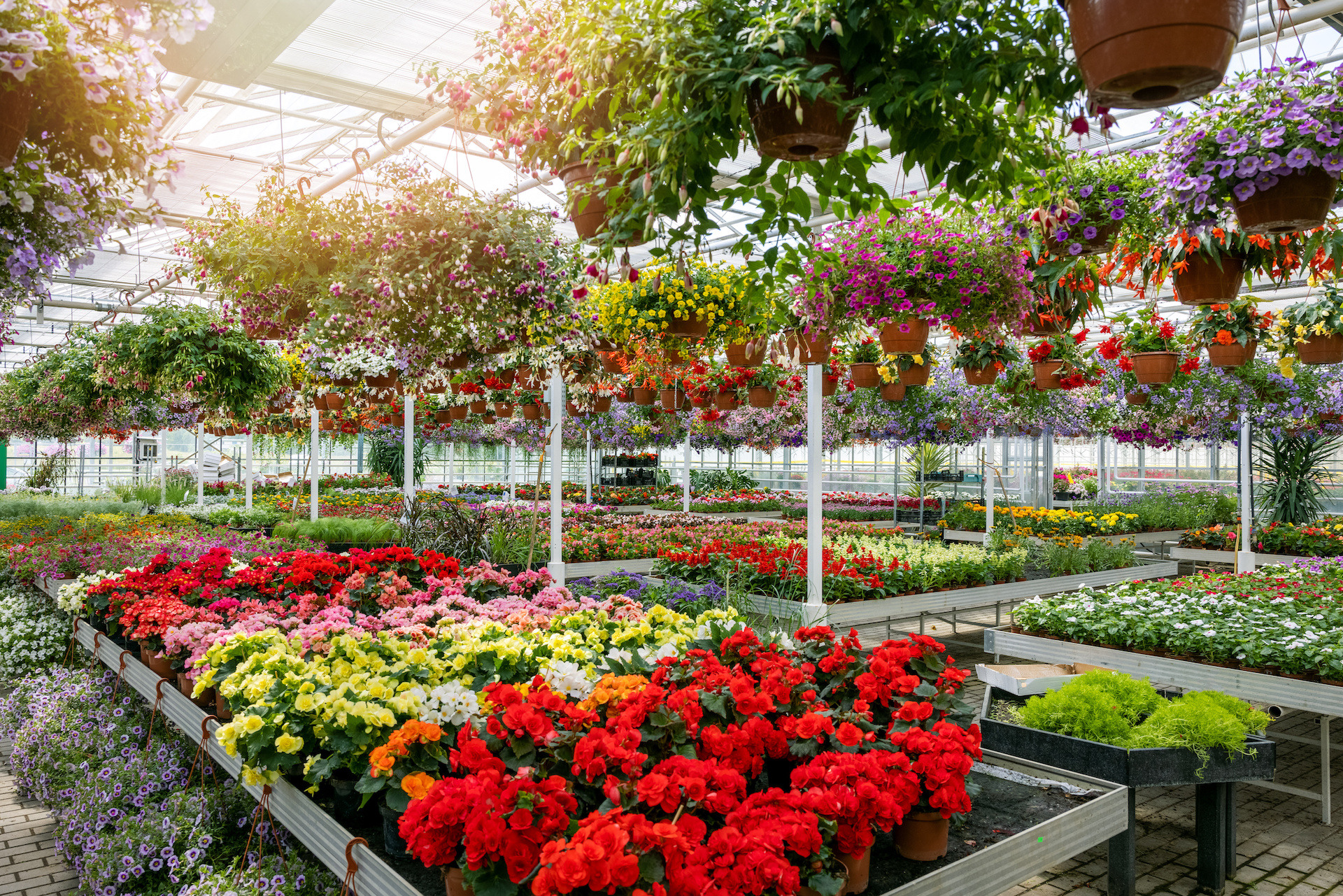 The Best eCommerce Platforms for B2C Home and Garden Businesses